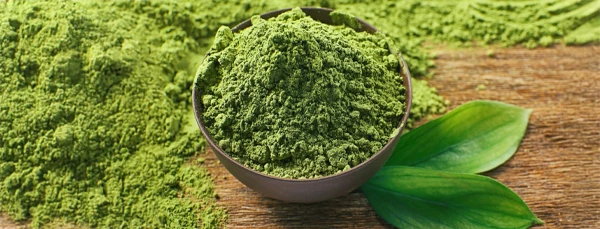 Green tea powder